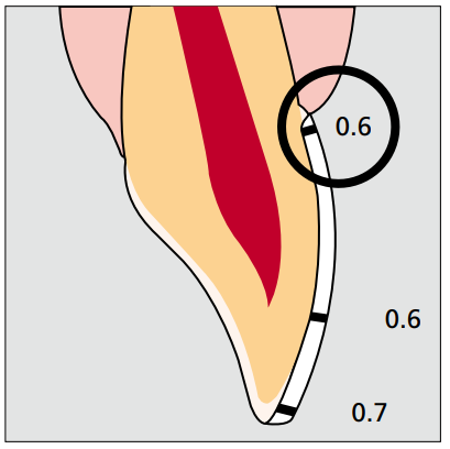Placeholder Picture